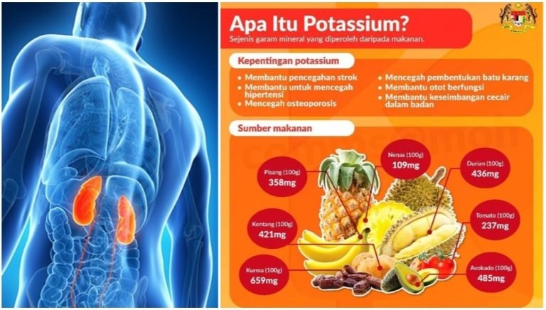makanan tinggi potassium