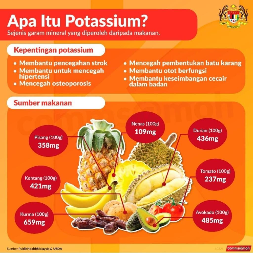 makanan tinggi potassium