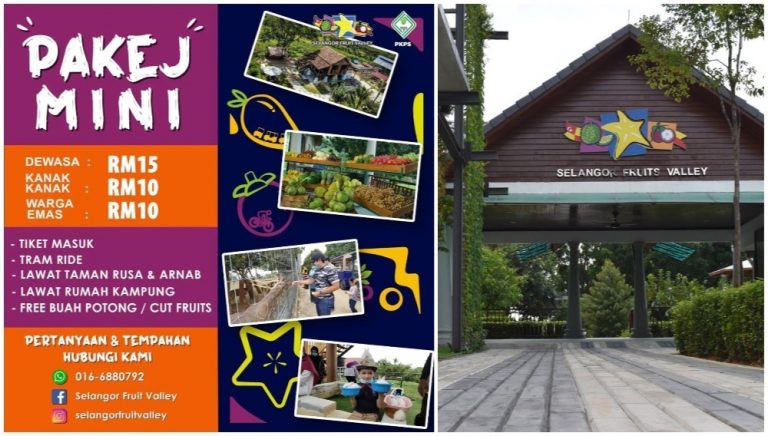 selangor fruits valley