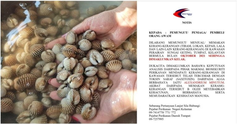 kerang geting