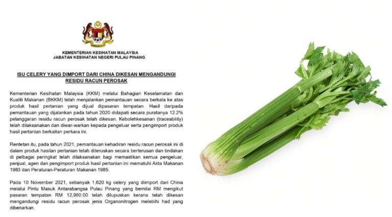 celery racun